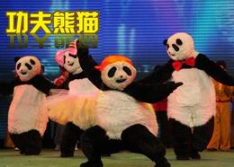 Beijing Kungfu Panda Show