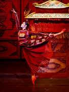 National Ballet of China - The 15th Anniversary Performance of Raise the Red Lantern