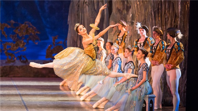 Swan Lake Ballet Bolshoi Opera and Ballet Theater 